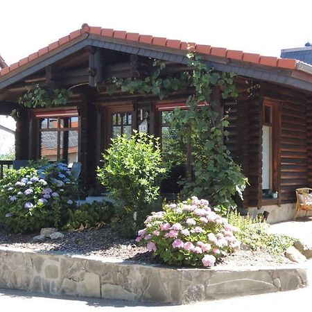 Ferienwohnung Blockhaus Juka Vinningen Exterior photo
